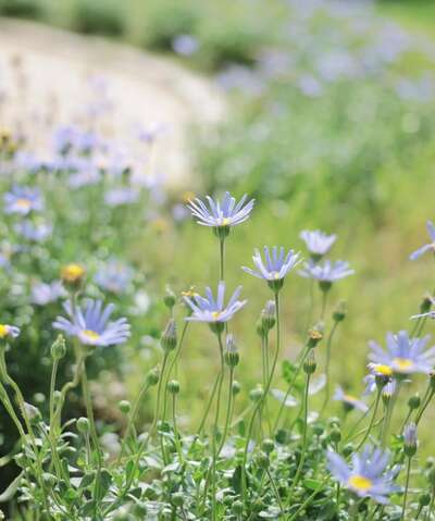 hz/JD/西湖区-一绪SPACE大清谷店1
