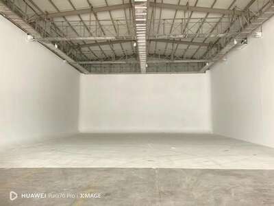 hz/PC/栖野/白棚1