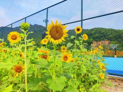 hz/T体育/萧山-郊野1