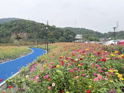 hz/T体育/萧山-郊野1