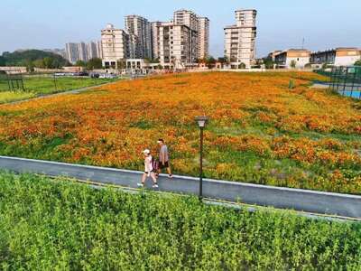 hz/T体育/萧山-郊野1