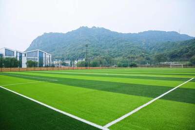 hz/T体育/萧山-郊野1