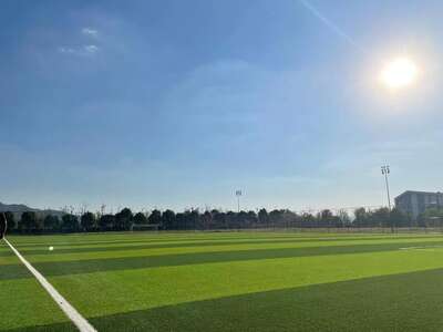 hz/T体育/萧山-郊野1