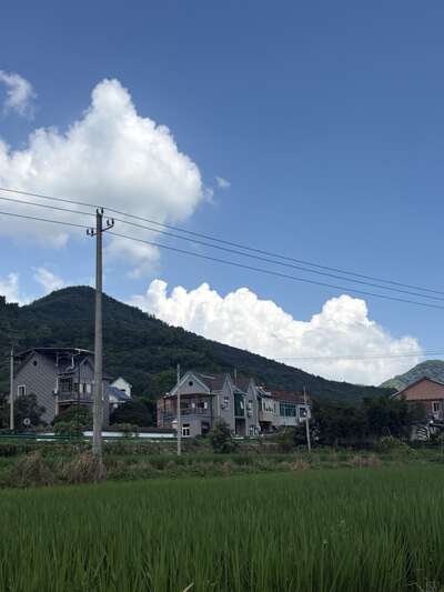 hz/WJ/余杭区-云见农场1