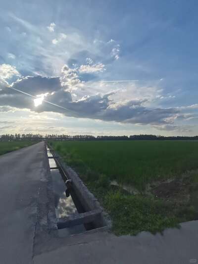 hz/WJ/萧山区-萧山麦田1