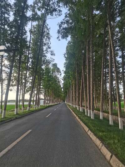 hz/WJ/萧山区-萧山麦田1