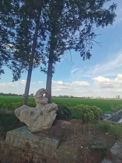 hz/WJ/萧山区-萧山麦田1