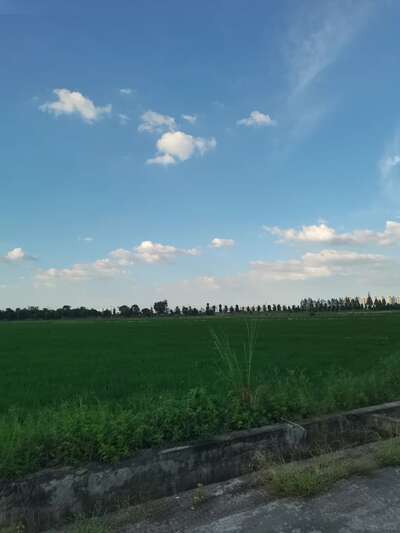 hz/WJ/萧山区-萧山麦田1