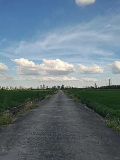 hz/WJ/萧山区-萧山麦田1