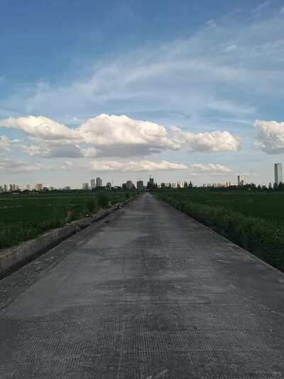 hz/WJ/萧山区-萧山麦田1