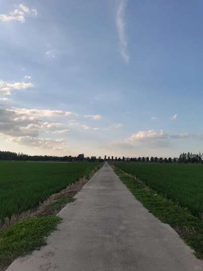 hz/WJ/萧山区-萧山麦田1