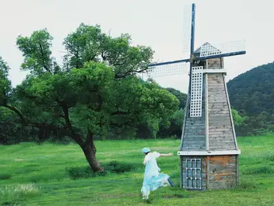 hz/X湘湖/草坪风车1