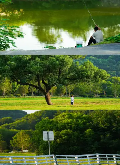 hz/X湘湖/草坪风车1