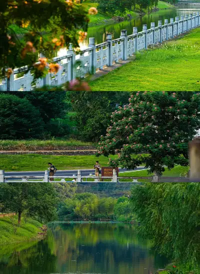 hz/X湘湖/草坪风车1