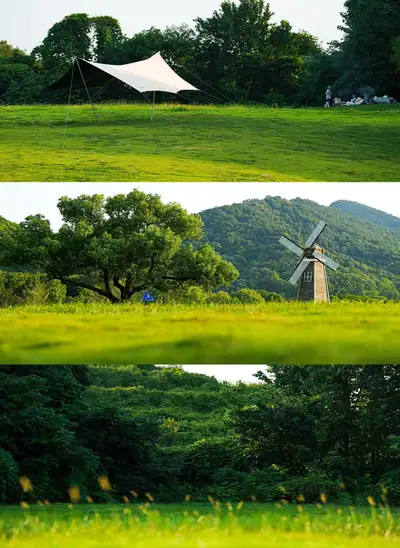 hz/X湘湖/草坪风车1