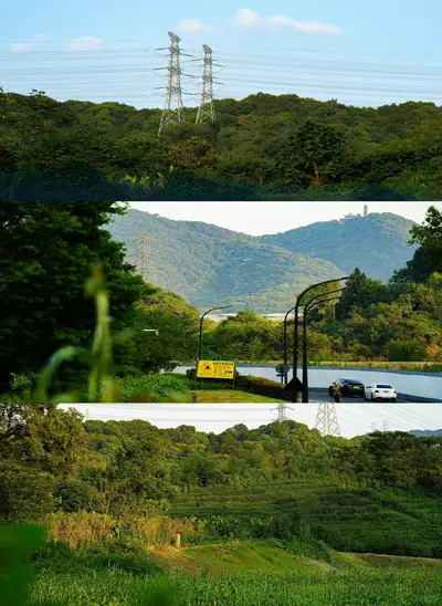 hz/X湘湖/草坪风车1