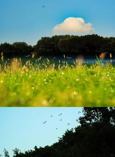 hz/X湘湖/草坪风车1