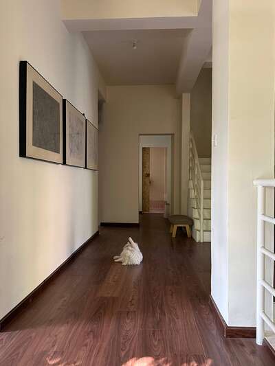 hz/bayueniao/场地1-法式乡村1