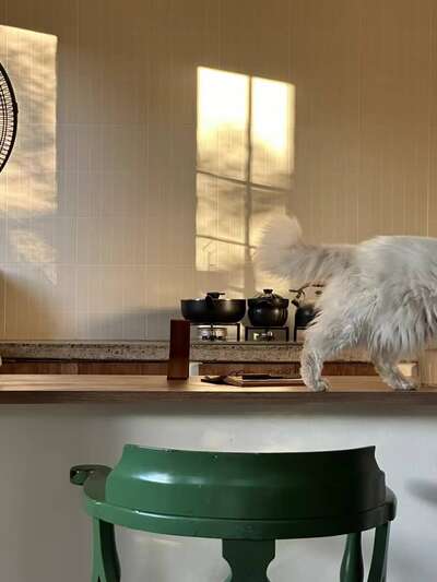 hz/bayueniao/场地1-法式乡村1