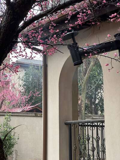 hz/bayueniao/场地1-法式乡村1