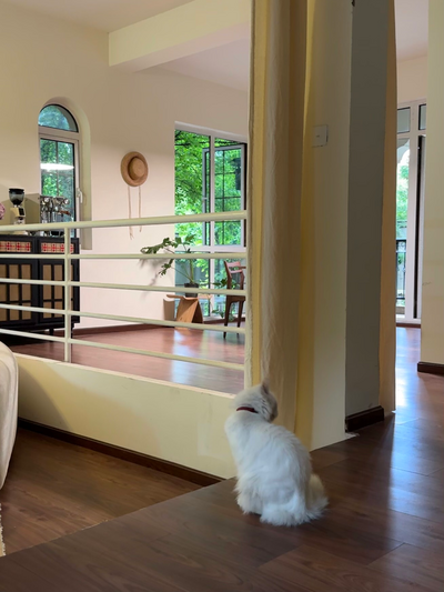 hz/bayueniao/场地1-法式乡村1