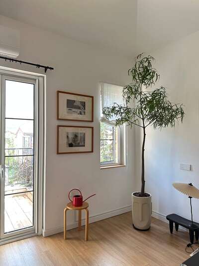 hz/bayueniao/场地2-现代主义1