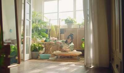 hz/senge/家居-简欧1