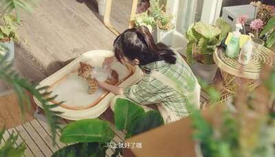 hz/senge/家居-简欧1