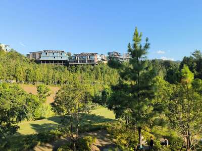 hz/高尔夫/高尔夫21