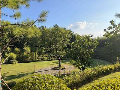 hz/高尔夫/高尔夫21