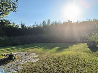 hz/高尔夫/高尔夫21