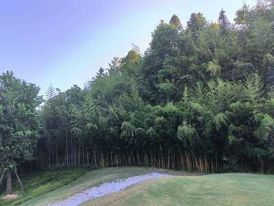 hz/高尔夫/高尔夫21