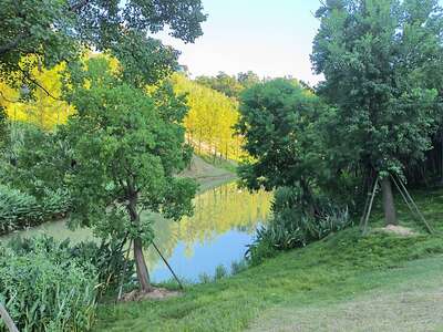 hz/高尔夫/高尔夫21