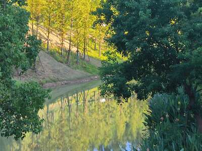 hz/高尔夫/高尔夫21