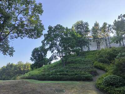 hz/高尔夫/高尔夫21