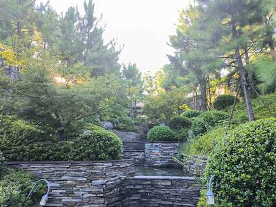 hz/高尔夫/高尔夫21