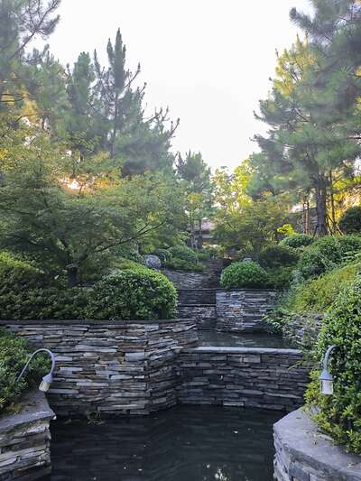 hz/高尔夫/高尔夫21