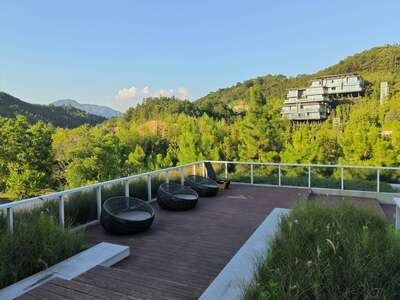 hz/高尔夫/高尔夫21