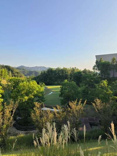 hz/高尔夫/高尔夫21