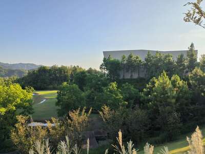 hz/高尔夫/高尔夫21