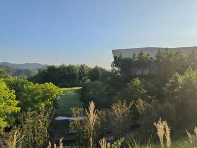 hz/高尔夫/高尔夫21