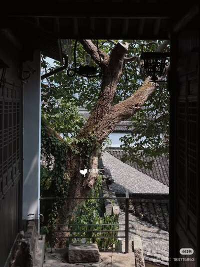 laozhai/杭州-吴山茶馆1