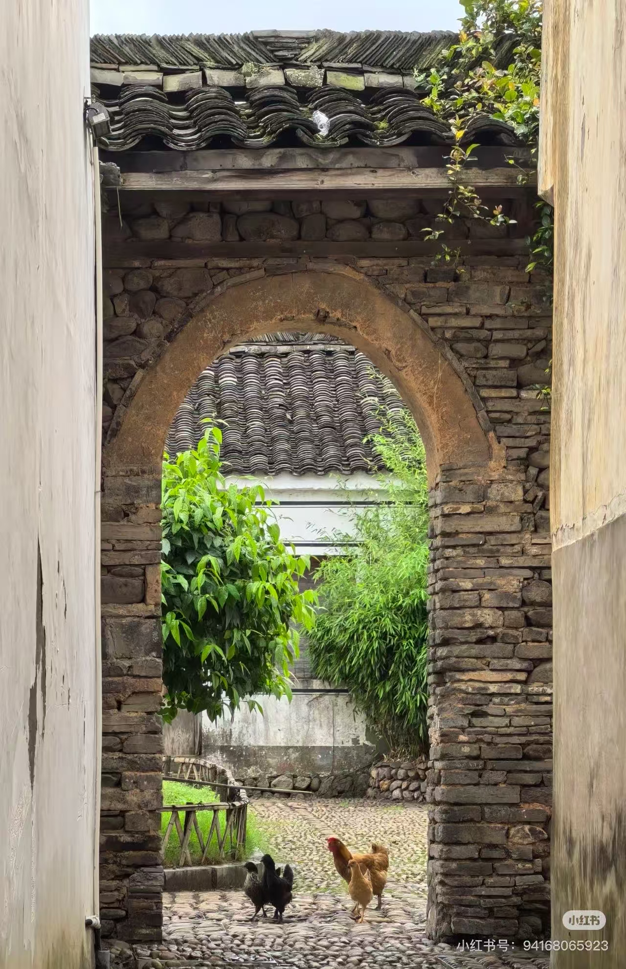 guzhen/杭州-龙门/网图1