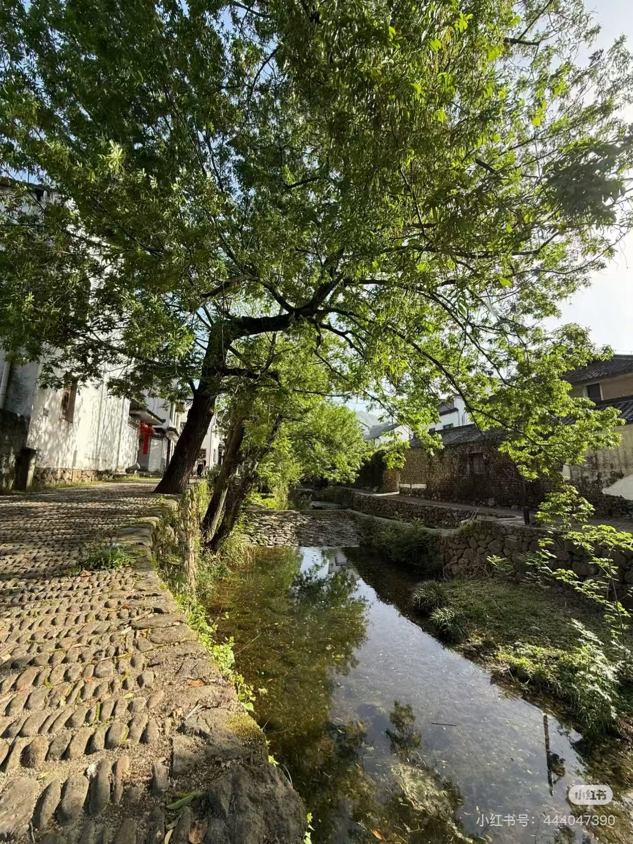 guzhen/杭州-龙门/网图1