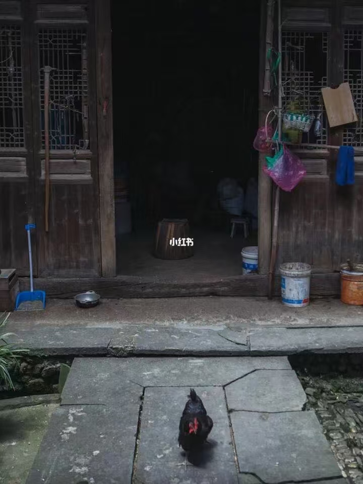 guzhen/杭州-龙门/网图1