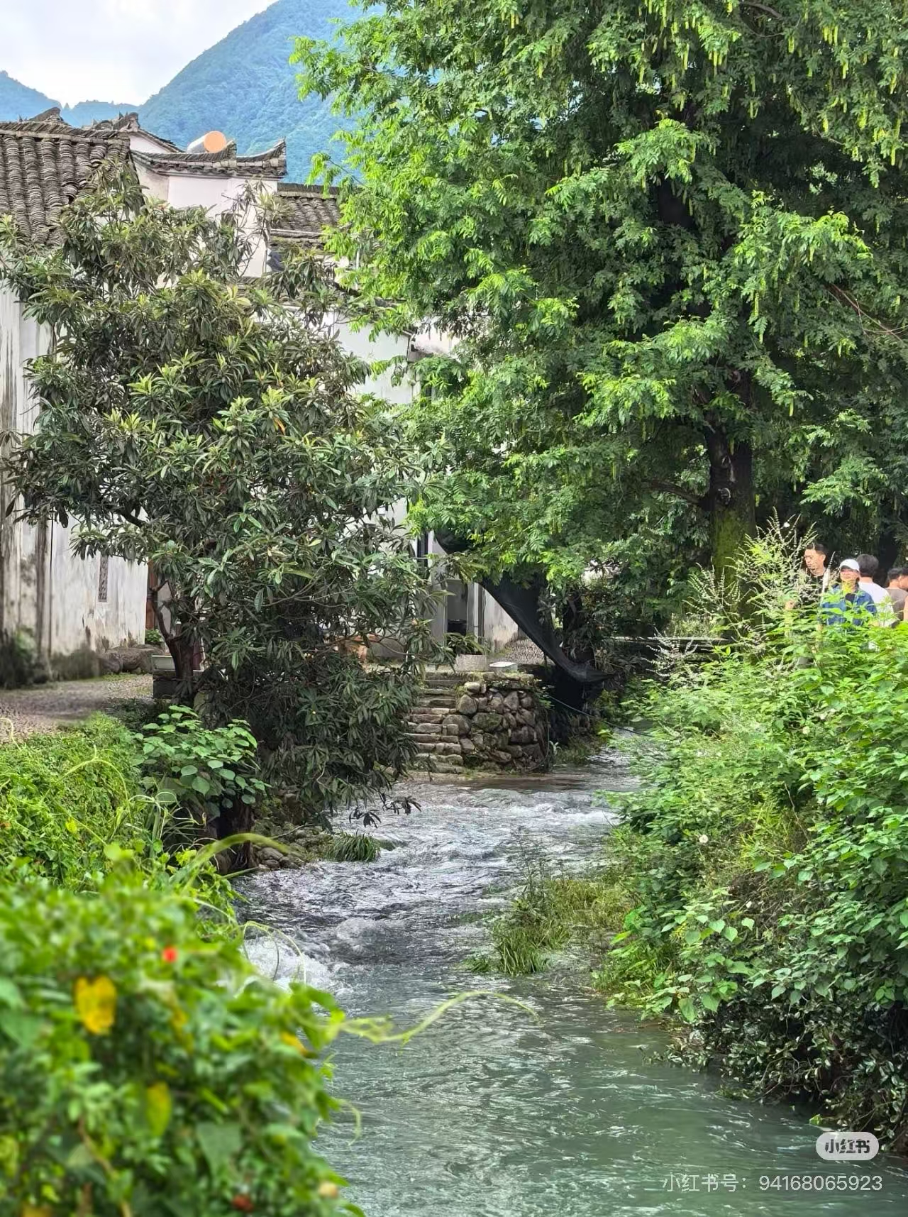guzhen/杭州-龙门/网图1