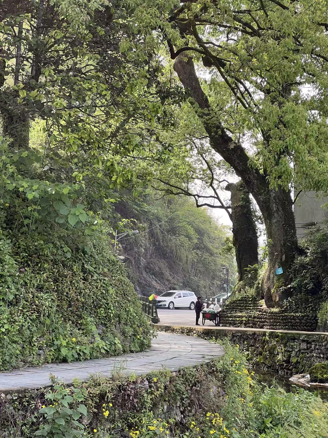guzhen/淳安-芹川1