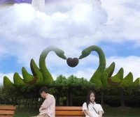 竖屏 荣威app病毒短视频