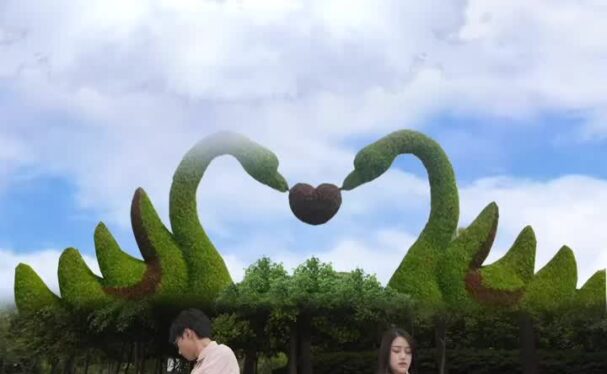 竖屏 荣威app病毒短视频