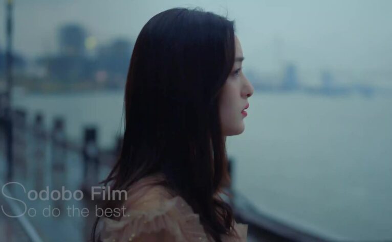 新一代福克斯之奈何BOSS超有爱